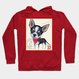 Funny Black and White Chihuahua Dog posing cutely Hoodie